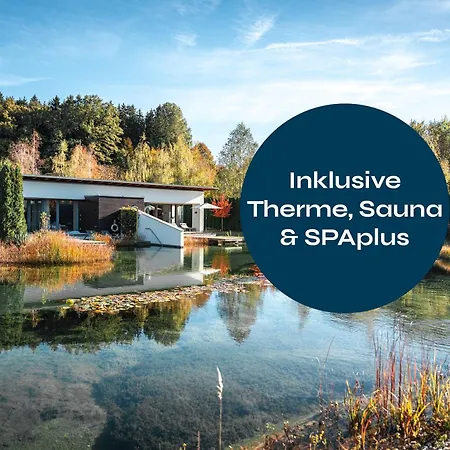 Geinberg5 * Гайнберг