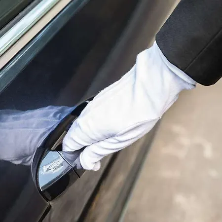 Geinberg5 גיינברג